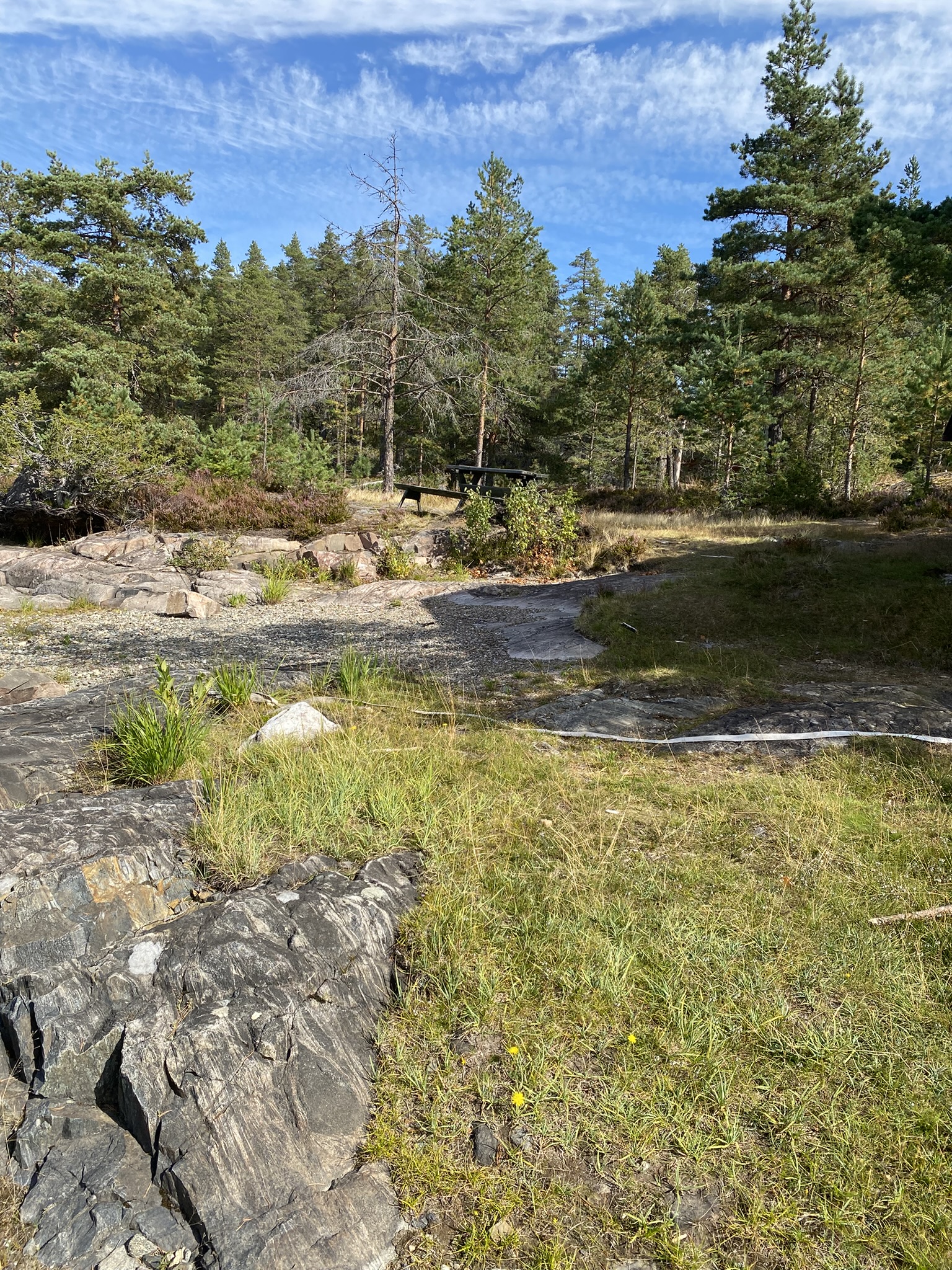 Skog og svaberg på Holeia