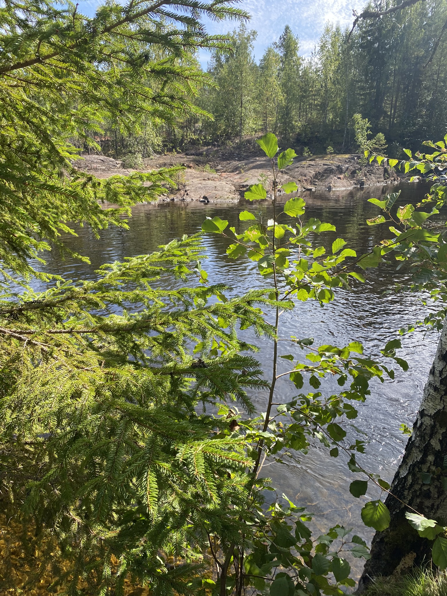 Skogstjern i nærområdet