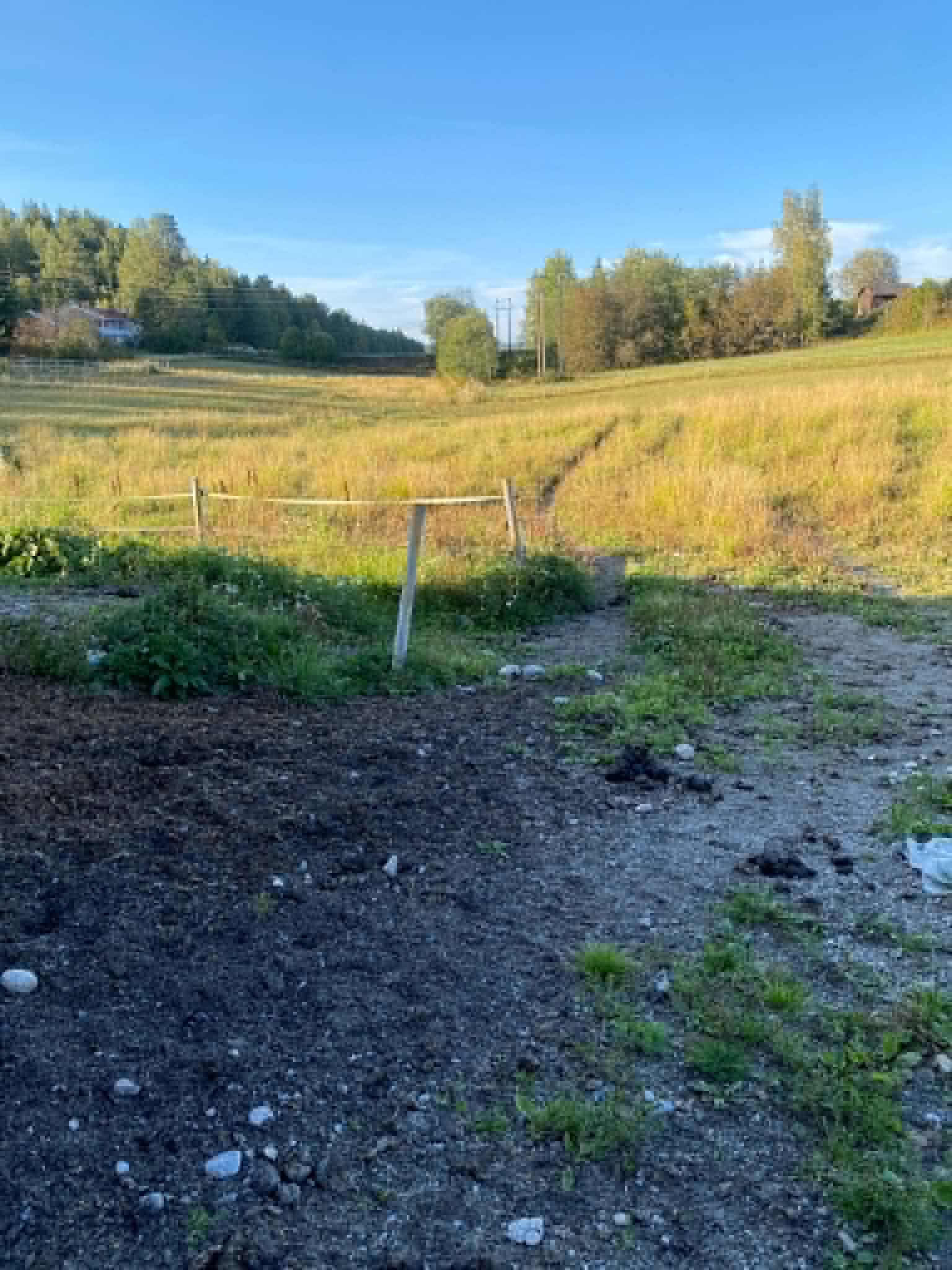 Utegang og beite på Lia