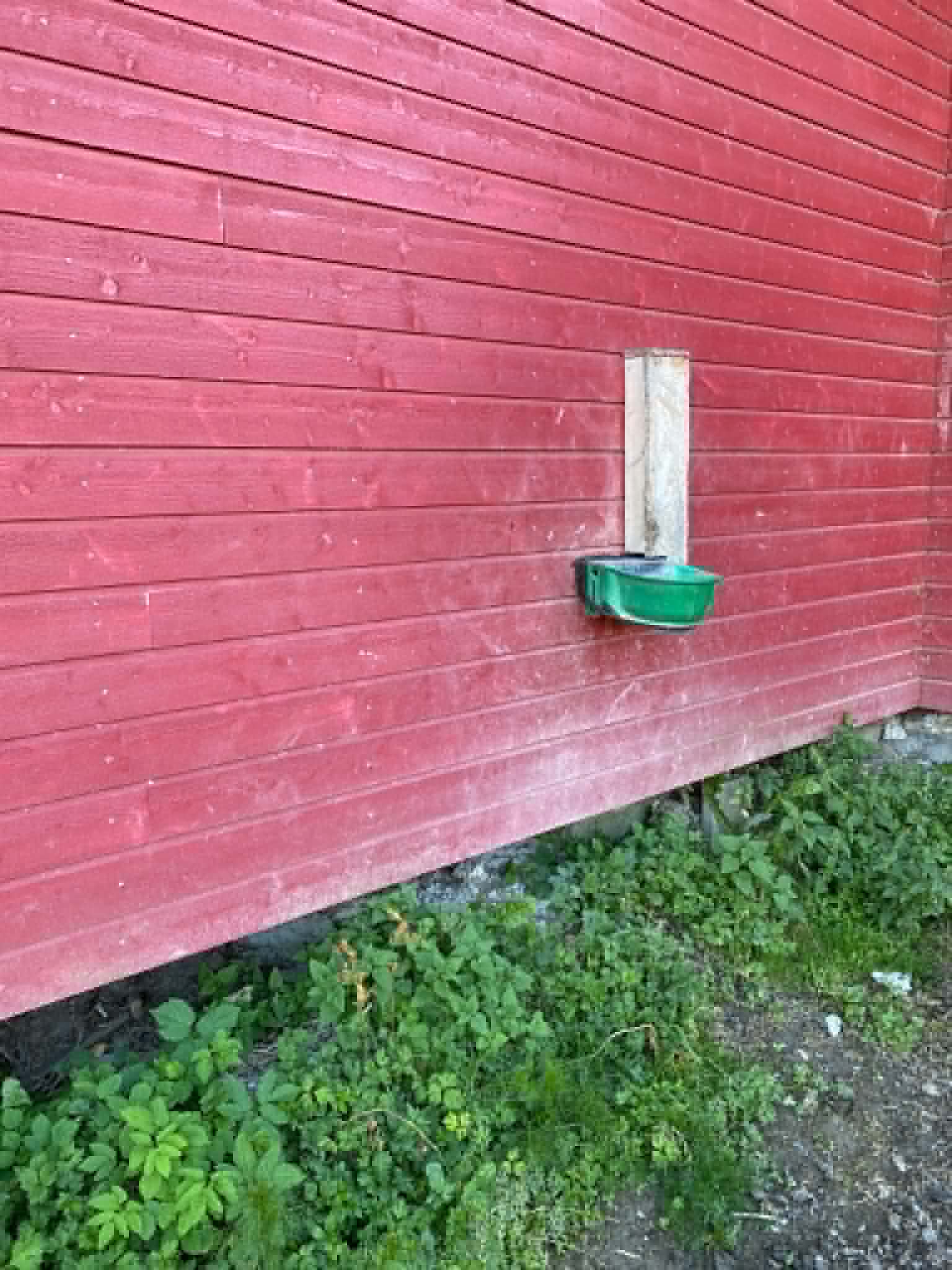 Helårs drikkekar på Lia